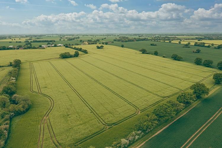 Farms & Farmland For Sale In Norfolk EG Propertylink